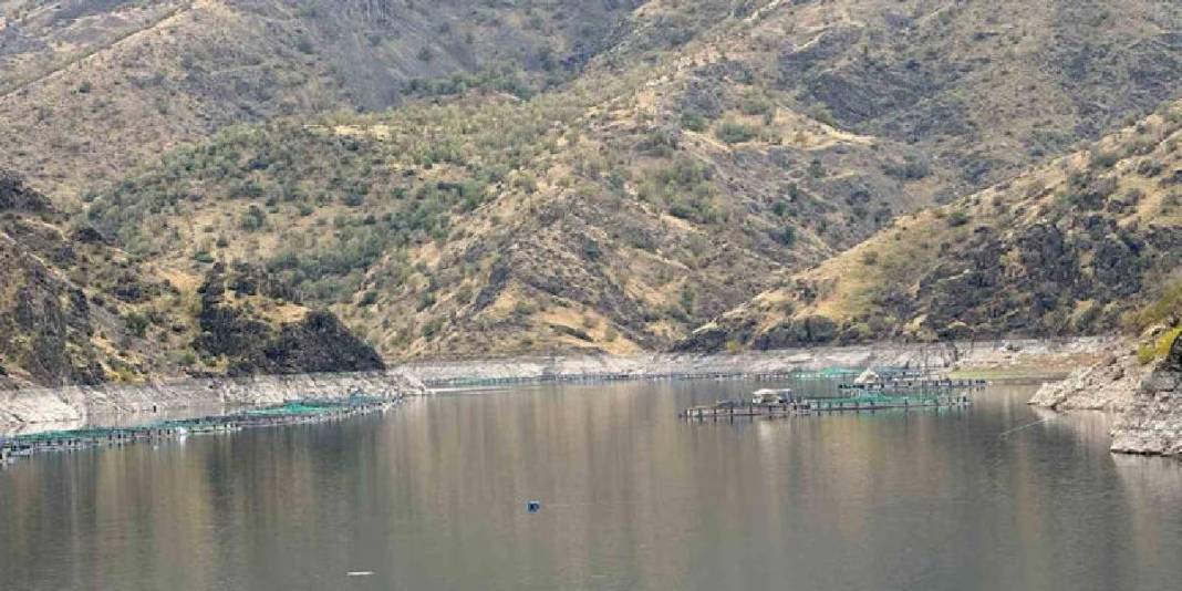 Diyarbakır’dan dünyaya “Mezopotamya somonu” ihracatı! 500 ton üretim kapasitesi var: 1 yılda büyük başarı 3